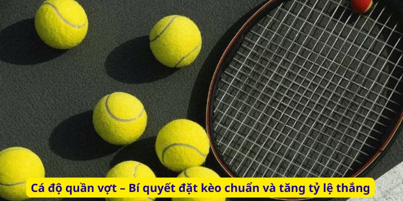 Cá độ quần vợt – Bí quyết đặt kèo chuẩn và tăng tỷ lệ thắng